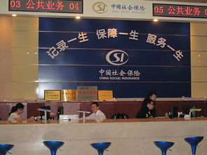 深圳社保代辦與代繳服務(wù)全解析 價(jià)格、選擇與合規(guī)指南
